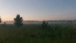 Hedgehog in the fog of Uhra Ёжик засел в тумане Ухты
