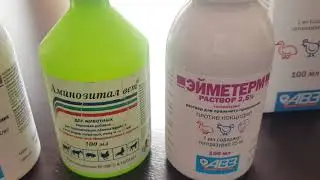Профилактические пропойки для бройлеров и породных цыплят