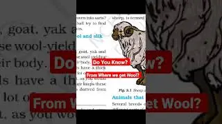 From where we get wool, wollen clothes | Sheep Goat, #onlinescienceclass