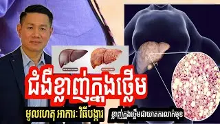 ជំងឺខ្លាញ់ក្នុងថ្លើម | មូលហេតុ អាការៈ និងវិធីបង្ការ | Fatty Liver | លោក លី ប៉េង តែ Ly Peng Te