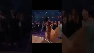 Lady Gaga helps SZA  durning the Grammy's...