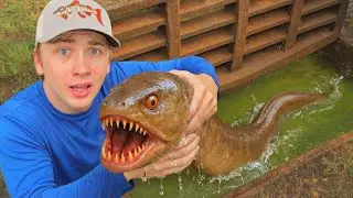 I Found a Sewer INFESTED with Alien Fish!