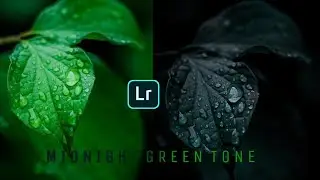Leaf Photo editing |  Green tone |Lightroom photo editing | AVS Pictures