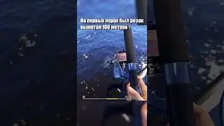 Наконец-то первая треска 