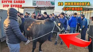 ХОРАЗМ МОЛ БОЗОРИ  КАТТА ХУКИЗЛАР НАРХЛАРИ   15-МАРТ 2023  БОГОТ МОЛ БОЗОРИ
