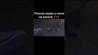 Поддержи развивающийся канал! #аниме #анимация