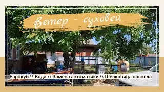 Ветер суховей // Замена автоматики для воды //