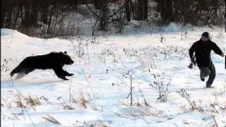 64 Year Old Man Died After Bear Attack In Alaska