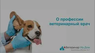 🐈 Что за профессия ветеринарный врач? 🐶