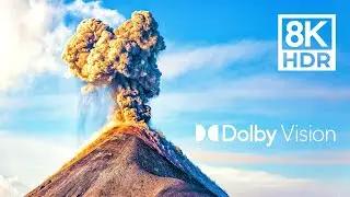 The Best Dolby Vision™ 8K HDR 60 FPS