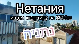 Нетания и квартиры за 3500₪