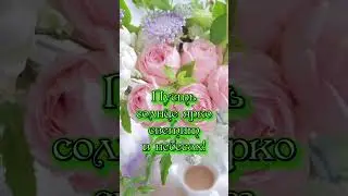 #доброеутро