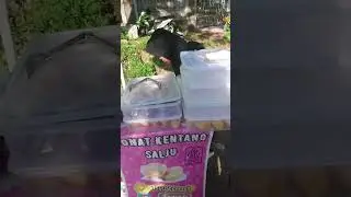 kegiatan via hari ini