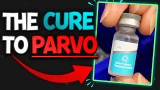 Our Thoughts On Canine Parvovirus Monoclonal Antibodies | The Veterinary Roundtable - EP63