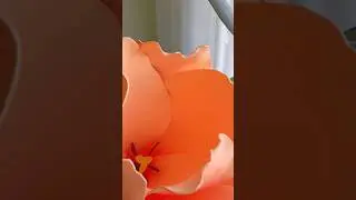 💐Фикусы Расцвели Тюльпанами #скоровесна #тюльпаны #декор #украшение #оформление #большиецветы