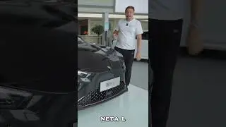 Neta (Nezha) L