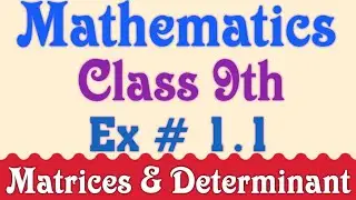 Class 9th Ex #1.1|matrices & determinants|#maths #mathematics |#matrices