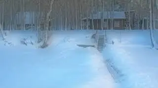 Зимние сказки валдайского леса