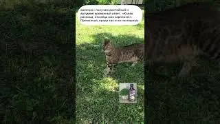 Неделю назад женился. Посмешней анекдот. #анекдототкожаного
