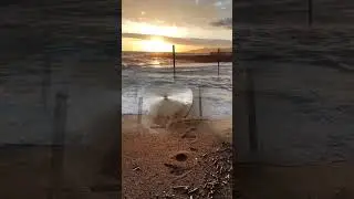 Для чистого ясного ума