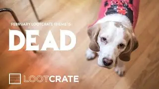 Lootpets Dead Themed Lootcrate - February 2016