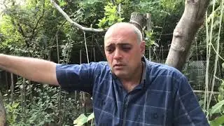 Смешной анекдот от Гарика | Мужик заблудился в лесу и вдруг видит