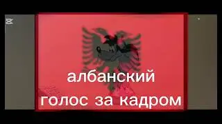 Ааа игггг разные языках Идея 