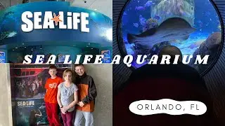 Sea Life Aquarium Orlando