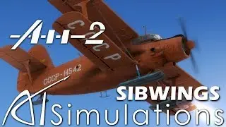 ATSimulations & Sibwings Antonov An-2