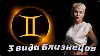 3 вида Близнецов: Обаяшка, Болтун и Бабник 