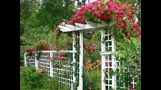ПЕРГОЛЫ ДЛЯ ДАЧИ