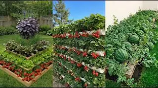 10+ Easy Ways to Grow Vegetables and Fruits in Your Backyard Garden | Gardening Tips for Beginners