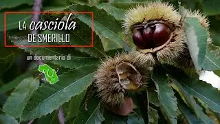 La casciola de Smerillo