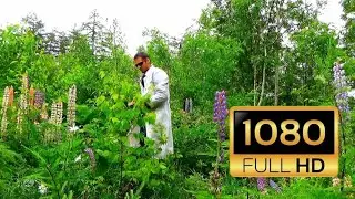 КАК ПРАВИЛЬНО СОБИРАТЬ ЦВЕТЫ НА 8 МАРТA @DR.CRINGEofficial  #докторкринж #8марта #праздник