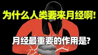 为什么极少有动物有月经而且人类的还不太一样?月经为什么而存在