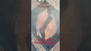 Майский Лещ горячего копчения 2024