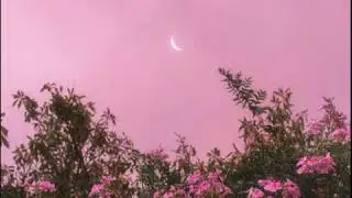 (Free) Lo-fi Type Beat - Dreaming