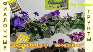 Торфогрунты для фиалок. Грунтоборзение. 8-я серия