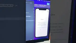 Expo | React Native | Project structure