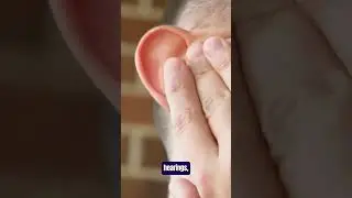 Impact of Respiratory Allergies on Ear Health