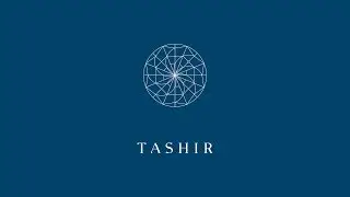 Tashir на MUF 2019
