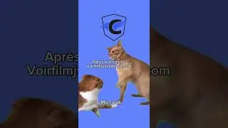 #cyberattaque #cyber #meme #cat #trend #humour #cybercrime #ordi #hack #hacking