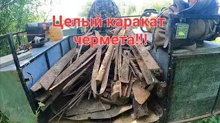 Норма выполнена.Полная загрузка караката.Металлокоп.