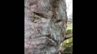 Paréidolique
