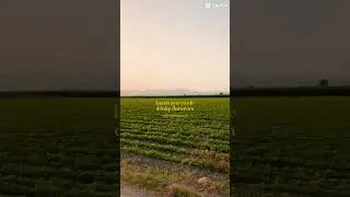 Hayat her zaman süprizlere gebedir…