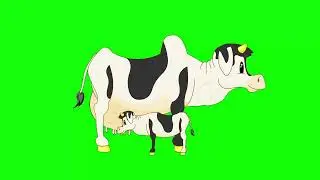 Green Screen | Alexa Green Screen | Cow Animation