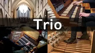 Macht hoch die Tür: Trio und Choral (GL 218)