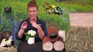 Environmental Education - Blue-Banded Bee Bricks
