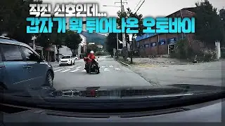22934회. 직진 신호인데 갑자기 옆 차량 앞으로 갑자기 튀어나온 오토바이와 사고