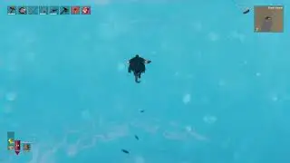 Vikings can FLY!!!